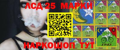 таблы Новокубанск