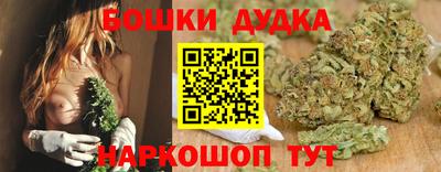 скорость Новозыбков